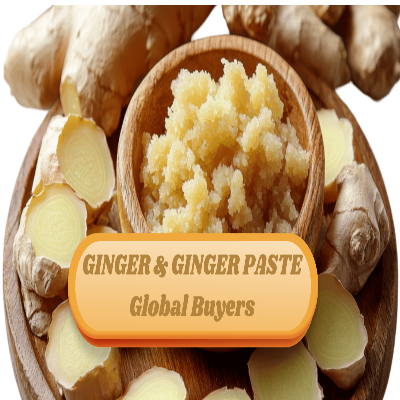 Ginger